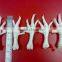 CHICKEN FEET