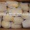 Factory supplying 2015 new crop fresh Holland Potato with good quality