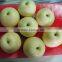 Chinese Golden Pear 9kg 18kg Carton