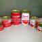 Made In China Canned Sachet tomato paste/ketchup fresh tomato manfacturer factory
