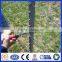 Hot Dipped Galvanized Or Painted Green T Post For Grassland