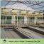 automatic poultry machine for chicken