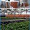 4m Agriculture greenhouse wet wall evaporative cooling system and pads