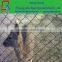 Top Netting For Game Bird Pens And Aviaries,Galvanized Hexagonal Wire Netting(gaw,Gbw)