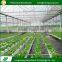 Customized design plants grow greenhouse industrial hydroponic system