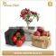 Grey Washable Paper Plant Bag,Kraft Paper Plant Pot