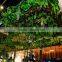 Green ceiling hanging panels