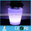 So cute Small LED ice bucket and flower pot