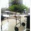 Two wheel Foldable moving Scaffolding for Garden using