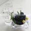 Natural Preserved Fresh Flowers With Good Quality For Holiday Gift