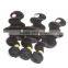 Free Samples Virgin Indian Hair Raw Unprocessed Indian Human Hair
