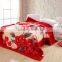 Hot sale Printed Flannel fleece blanket