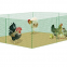 Chicken Wire Netting Hexagonal Wire Netting Poultry Mesh