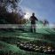 good quality uv resistant hdpe harvest mesh net olive growing netting