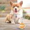 Extremely cute and beautiful zinc alloy round engraved fishbone pattern dog metal tags