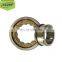 Cylindrical Roller Bearing NU260 Hot Sales Bearing NU260