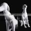 Fashion Fiberglass dog mannequin,white mannequin manikin dog wholesale mannequin G1-BK