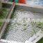 Vegetable Green Peas Washing Machine Electric Vortex Type Vegetable Washing Machine