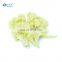 BRC Certified Frozen Vegetable IQF Frozen White Cauliflower Cut With Stem