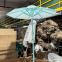 Modern Fashion Design Waterproof Sunshade Tassel Umbrella Wholesale Decorative Garden Umbrella Outdoor Umbrella