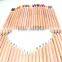 Top quality mini promotional wooden canister art park color pencil set