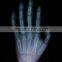 Agfa MRI film good quality