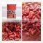 beans in tomato sauce wholesale