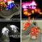 shoelace shoe lace light