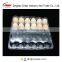 disposable PET plastic eggs tray 15 holes