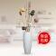 2016 Dried Flowers Wholesale Cheap Home Decoration set Natural Dried Lotus