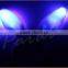 HOT sale glow in the dark bunny ears, blinking led bunny ears