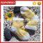 V-103 Breathable pretty anti-slip knitted crochet baby socks in white with light yellow
