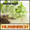 Huminrich Shenyang SH9011-7 Sprinkler Fertilizer 55% Content Super Potassium F Humnat