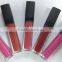 Private label 25 shades waterproof pink lip gloss matte lipstick with factory price                        
                                                Quality Choice
                                                    Most Popular