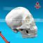 Plastic skull model for sale
