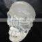 Clear Quartz Rock Crystal Skull white / Natural Quartz crystal Carving Skull / Hand Carved Crystal Skull Wholesale