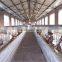 chicken farm steel structure for Africa
