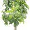 garden decor fake money tree artificial Pachira