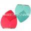 Beauty Tools of Facial Brush With Massage for Home Use