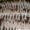 frozen chicken feet