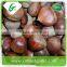 Price chinese raw wholesale frozen chestnuts