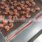 Microwave shrimp dryer and sterilization equipment