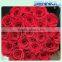 Real natural Rose wholesale preserved flower