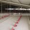 Broiler Poultry Farm Automatic Feeding System automatic feeder