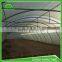 Single tunnel Poly film or PC sheet economical agricultural greenhouse hidroponica for Middle East