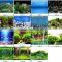 waterproof plastic aquarium background