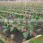 2015 TOP SELLING CROP COVER