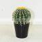 SJ3001020 Evergreen giant plastic cactus ball