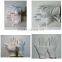 DDSAFETY 2017 With 5years Experience Anti-static Bleach Cotton Glove