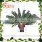 Gaungzhou Songtao Supplier Artificial Palm Tree Fake Plame Tree Fiberglass Artificial Palm Tree